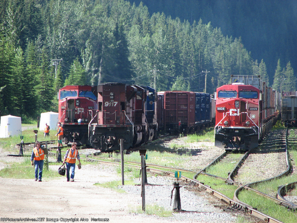 Activity in the yard at Field BC.